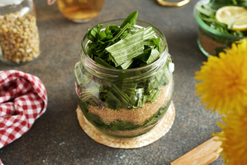 Chopped ribwort plantain and sugar in a jar - preparation of herbal syrup