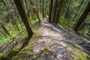 Wooden stairs on hiking trails. The beautiful forests of Latvia. Gauja National Park, Sigulda