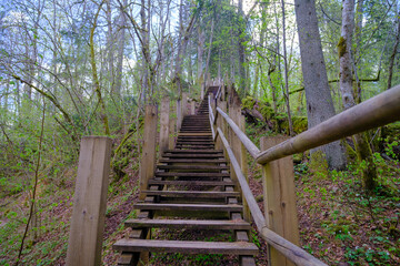 Wooden stairs on hiking trails. The beautiful forests of Latvia. Gauja National Park, Sigulda