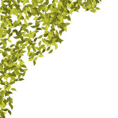 Scattered Leaves Illustration