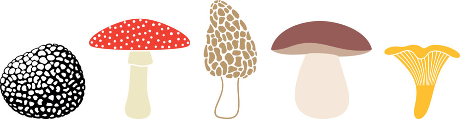 Mushroom logo. Isolated mushroom on white background