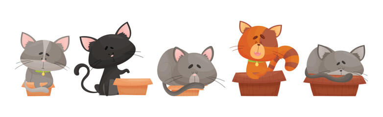 Cat and Cardboard Box Sitting Inside and Playing Vector Set
