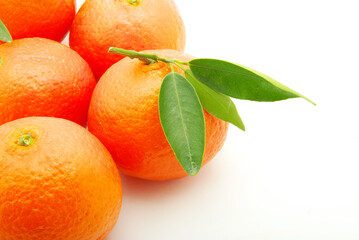 mandarin isolated on a white background