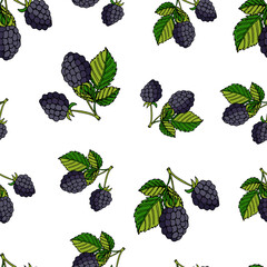 vector illustration of a seamless pattern blackberries with leaves on a white background