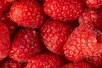 Raspberries. Fresh juicy raspberries bright background. Close-up.