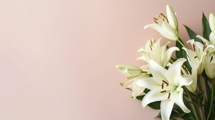 Lily Flowers: Pastel Background. Generative AI