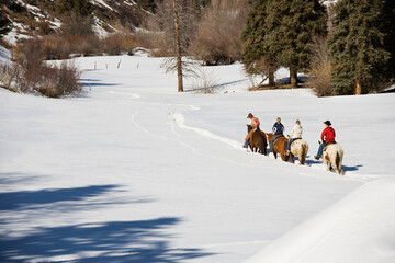 Group horseback riding in snow covered landscape in Colorado, USA.