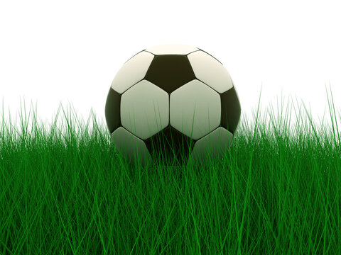 soccer ball in grass background 3d image