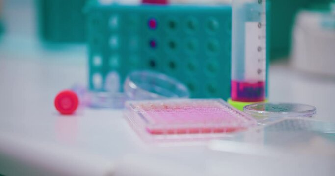 Scientist Working in Medical Laboratory Cancer Research Covic 19 Pandemic