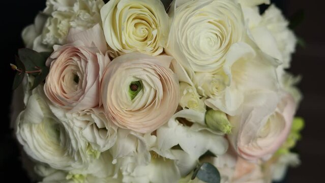 Close up of bridal arrangement bouquet with fresh pink and white roses, ranunculus flowers, eucalyptus, greenery on dark background. Camera moving. Wedding, birthday, valentines gift.