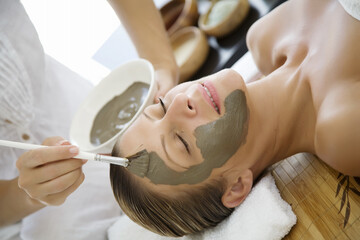 professional applyinh mud mask to female client