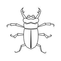 Bug, beetle. Line silhouette illustration , vector