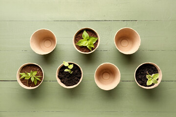 Obraz na płótnie Canvas Peat pots with seedlings on green wooden background