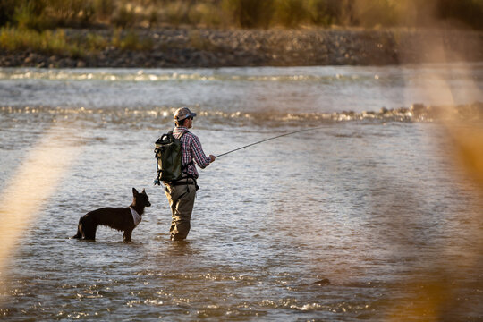 pescando con mosca en el rio con perro
