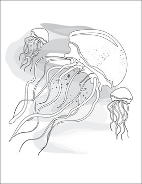Jellyfish floating Vector Art Black and White