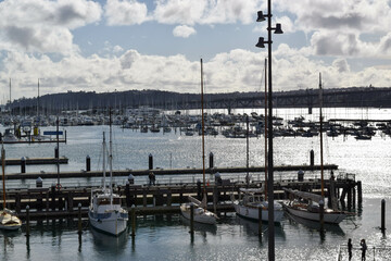 A view of Westhaven Marina in Auckland, New Zealand and the boats in the harbor