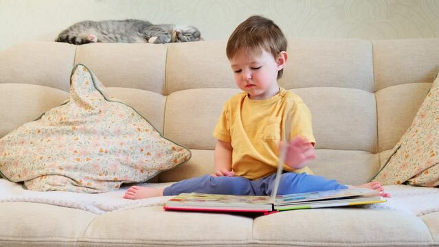 The cute baby is playing with the colorful picture book, flipping through the pages and touching the pictures. The serious little child is lost in thought as he reads book while sitting at home.