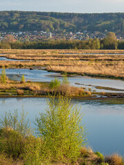 Bog  Grosses Torfmoor in Germany.
