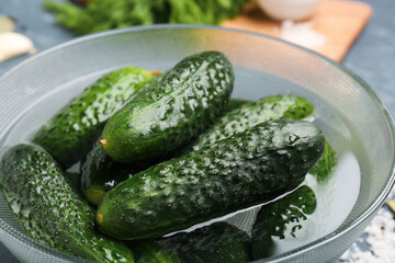 Bowl with fresh cucumbers for preservation on table, closeup