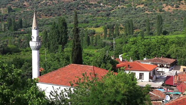 Village life in Sirince, organized around the rhythms of nature. Most households own several small plots of land scattered around the village. They cultivate a variety of different crops
