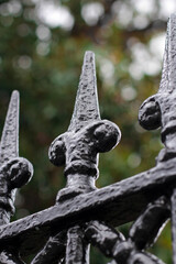 wrought iron fleur de lis fence © david