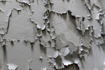 Old painted wall. White cracked paint on the wall. Grungy cracked white wall paint peeling off. Surface paint on the walls are damaged.