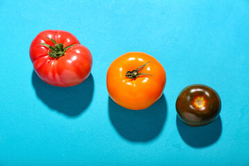 Different fresh tomatoes on blue background