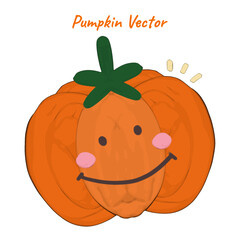 Cute pumpkin smile face vegetable oil paint vector
