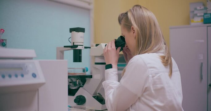 Scientist Working in Medical Laboratory Cancer Research Covic 19 Pandemic