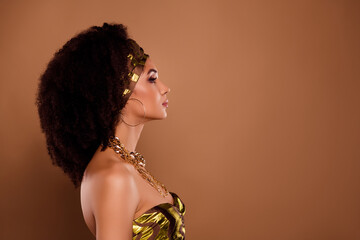 Photo of confident chic lady tribe chief priestess look profile side listen people on brown copy empty space background