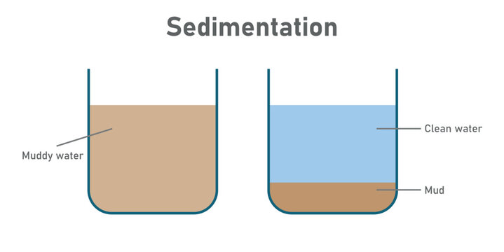 Process of sedimentation diagram. Physics resources for teachers and students. Vector illustration isolated on white background.