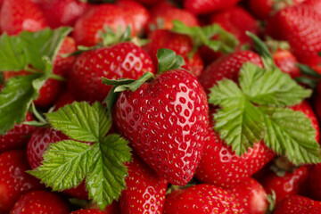 Texture of fresh strawberries with leaves