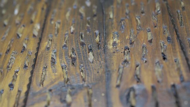 Focus on the blades of a threshing board