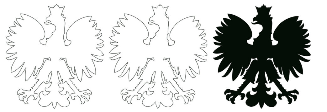Polish emblem drawn in contours on an isolated background.