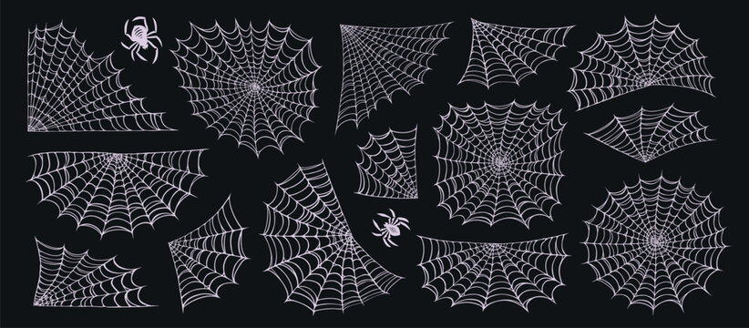 Spider and web set. Concept Halloween decoration design. Cobweb collection elements illustration