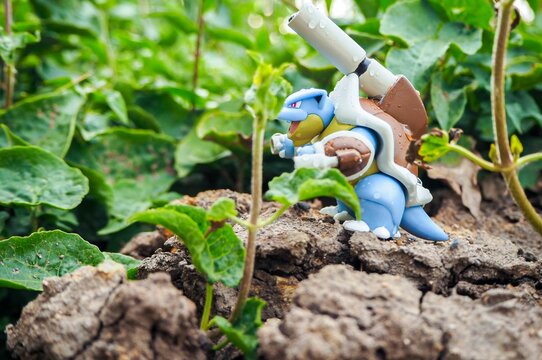 May 11 2023 - Figure   Kamex (Blastoise) Pokemon - Toy Photography - Blastoise is walking through the forest in the rain.