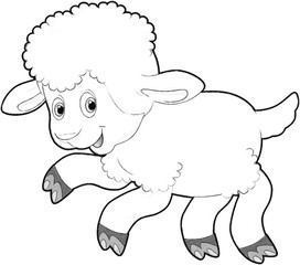 sketch cartoon scene with funny looking farm sheep smiling illustration for children