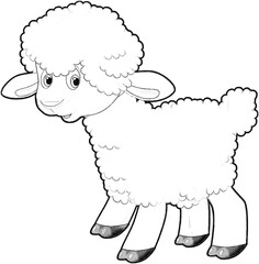 sketch cartoon scene with funny looking farm sheep smiling illustration for children