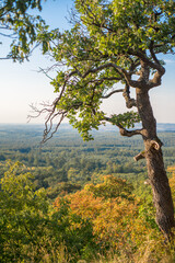 View from the Bakony on a summer day