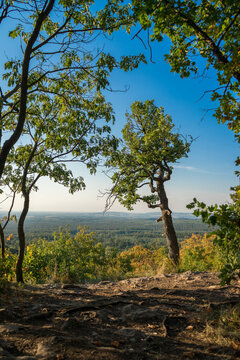 View from the Bakony on a summer day