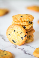 Italian style round shortbread cookies with black olives and Parmesan cheese