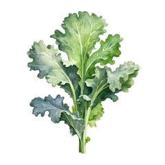 kale leaves isolated on a white background, generative ai
