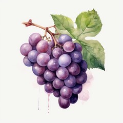 bunch of grapes isolated on white background, generative ai