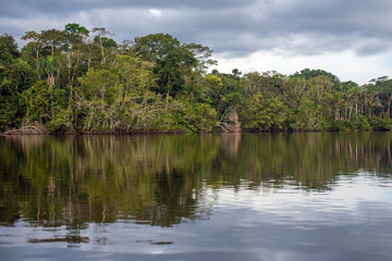 Amazon river rainforest reflection, comprising the countries of Brazil, Bolivia, Colombia, Ecuador,...