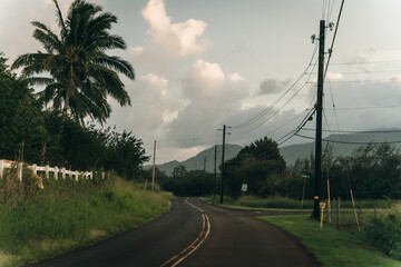 Highway through a lush tropical forest in kauai, hawaii - may 2023