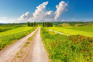 Tuscany landscape at spring sunny day, Italy