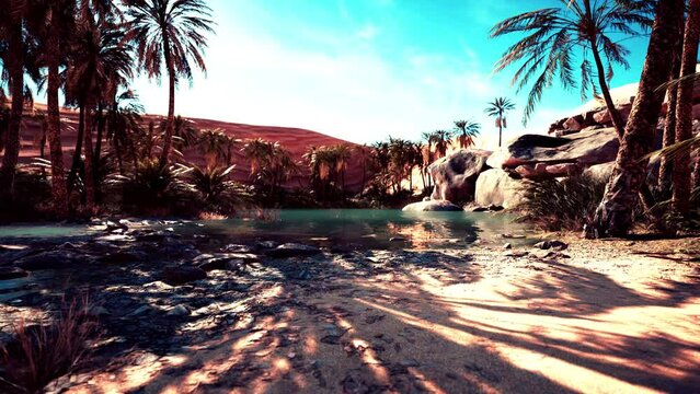 Fantasy pond oasis in a palm forest