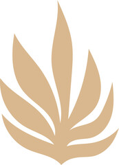 hand drawn boho floral elements