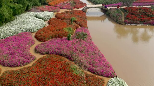 HANOI, VIETNAM - MAY, 2023: Aerial drone view of colorful Ho Tay Flower Garden famous landmark of landscape design.