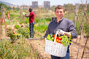 Fototapeta premium Happy farmer with basket of ripe vegetables in the garden